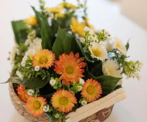 Appartement Palazzetto Il Mangano - F&l