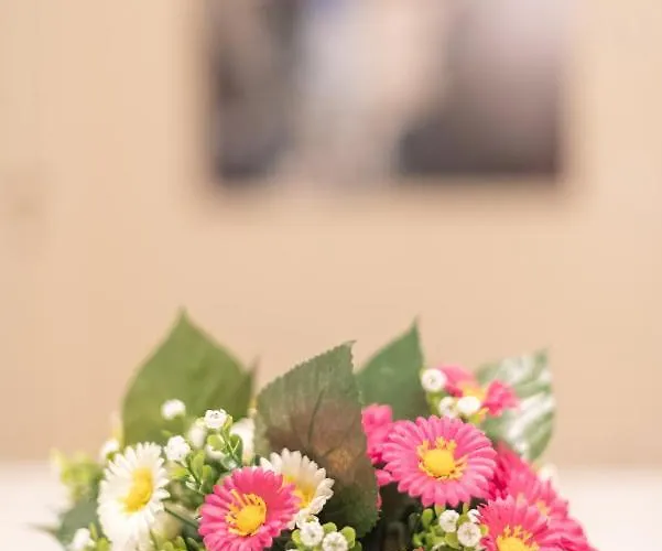 Appartement Palazzetto Il Mangano - F&l *